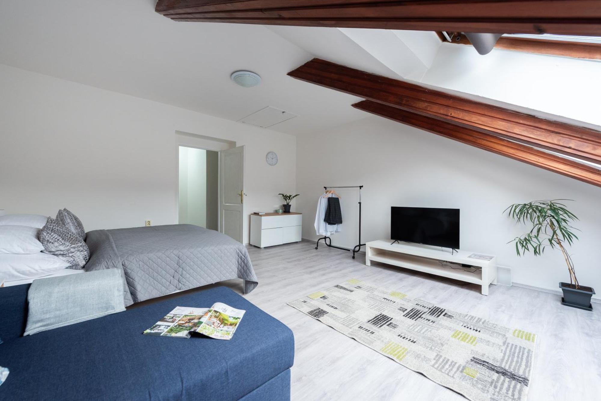 Lucky Angel Prague-karlin Apartment Prag